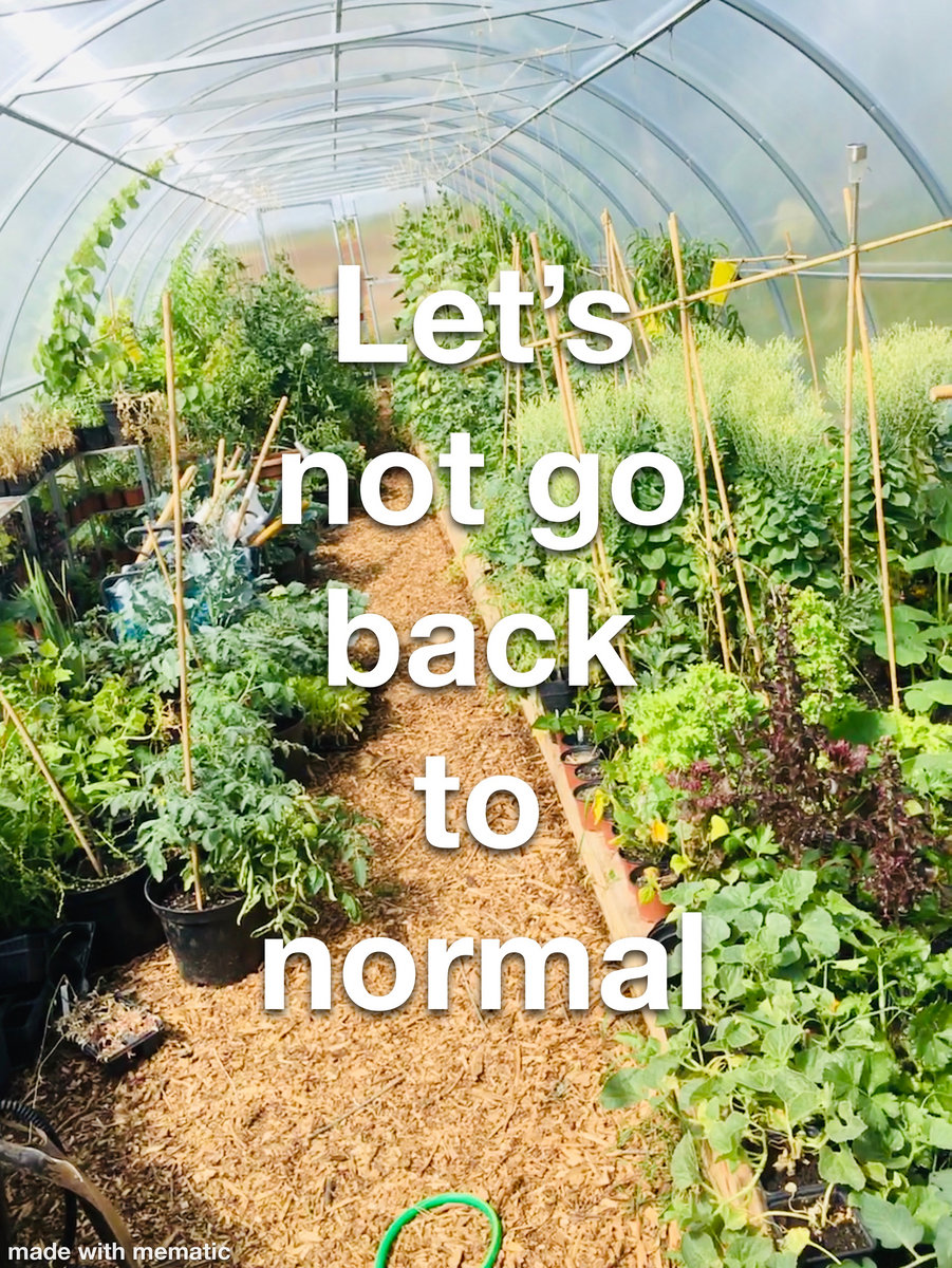 Let's not go back to normal cover