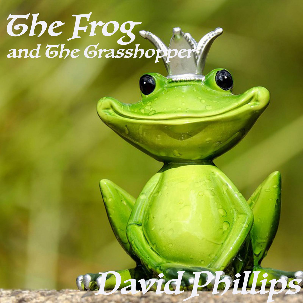 The Frog and the Grasshopper | David Phillips