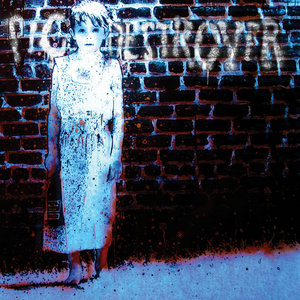 Book Burner (Deluxe Version) cover