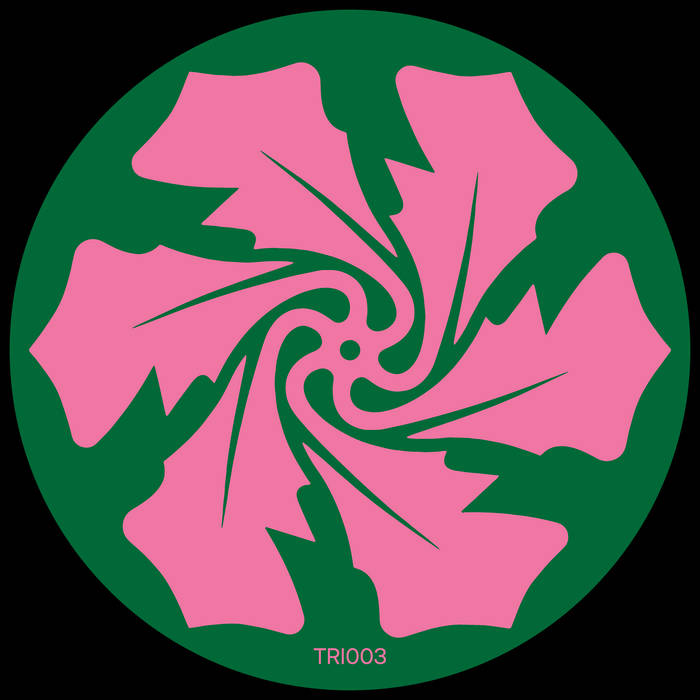 Echoing | Verlake | The Rose Island