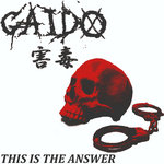 GAIDO - This Is The Answer