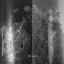 Precinct — Blind Mic, Dogger, Metrodome - Polarity (feat. DRS, Dub Phizix & Mindstate)