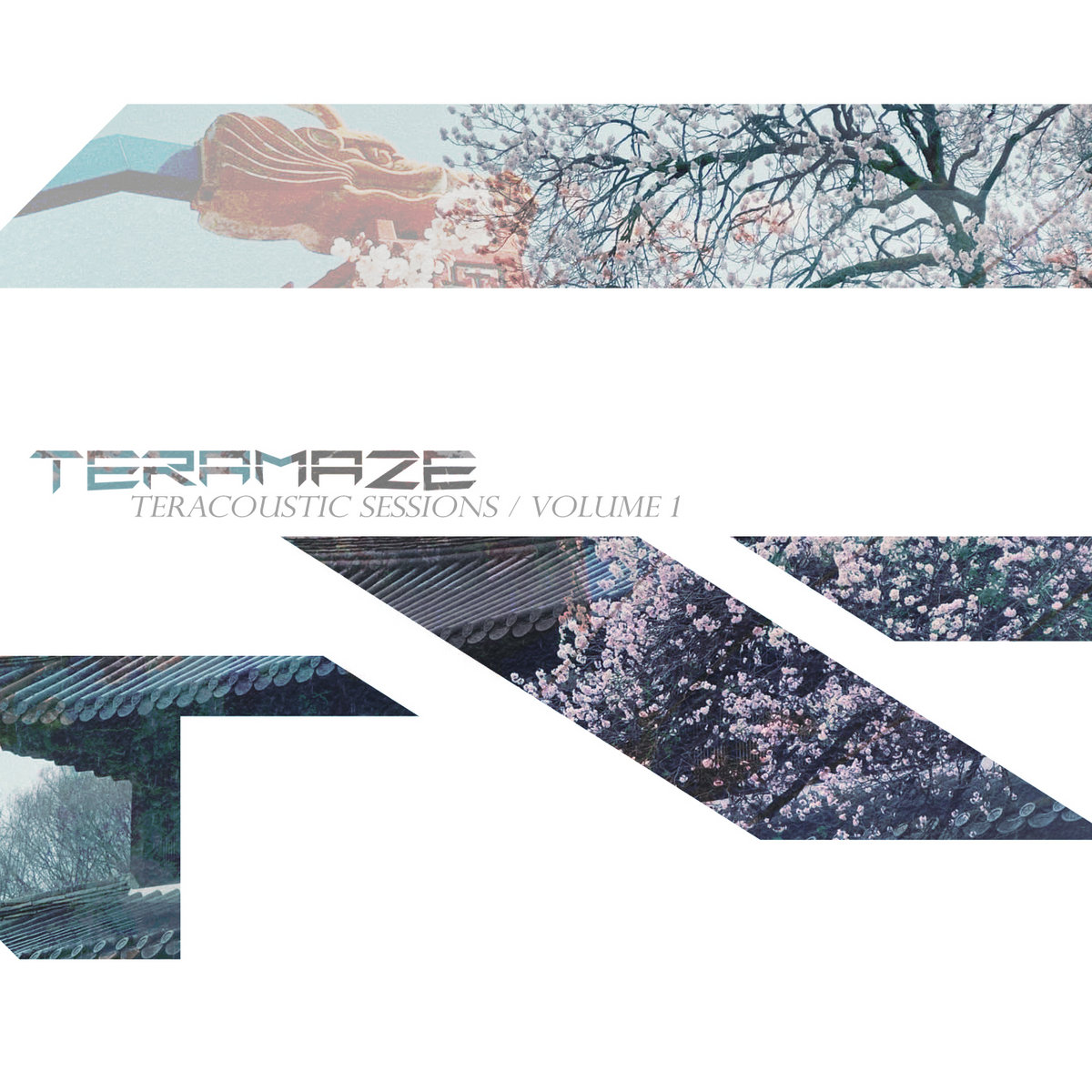 Teracoustic Sessions Vol 1