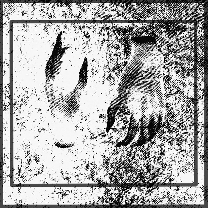 A Love Requiem | Leather Parisi | Phage Tapes