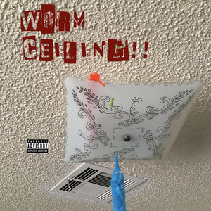 Worm Ceiling cover