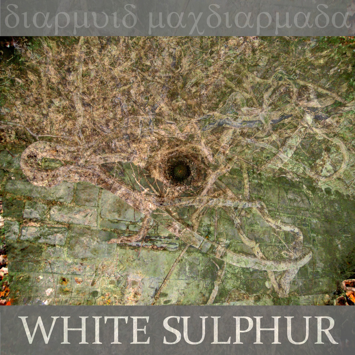White Sulphur cover