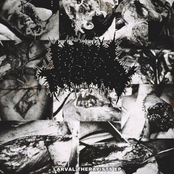 LARVAL THERAPISTS EP | larval therapy