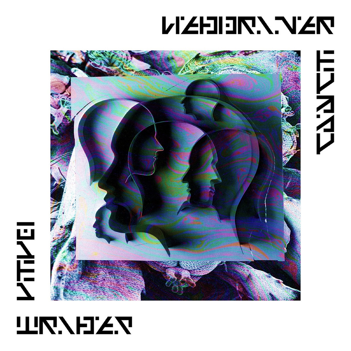 Album 11