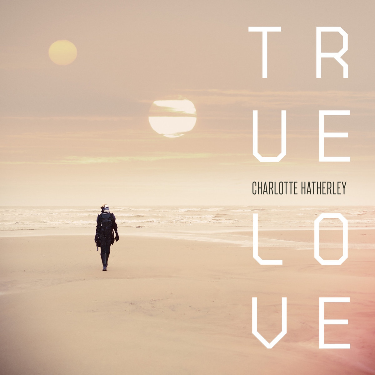 HARTFIELD 『True color, True lie』 CD US盤 Amazon.co.jp: True Color True Lie: ミュージック