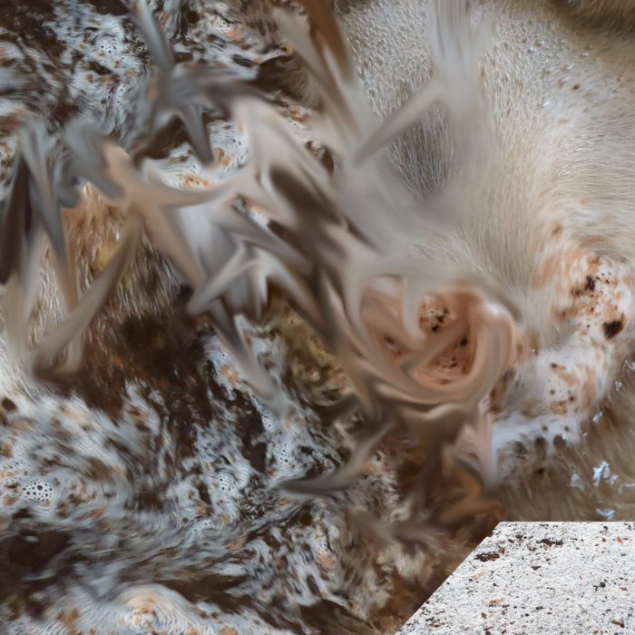 ARIDMIRA, by encrypted.whispers