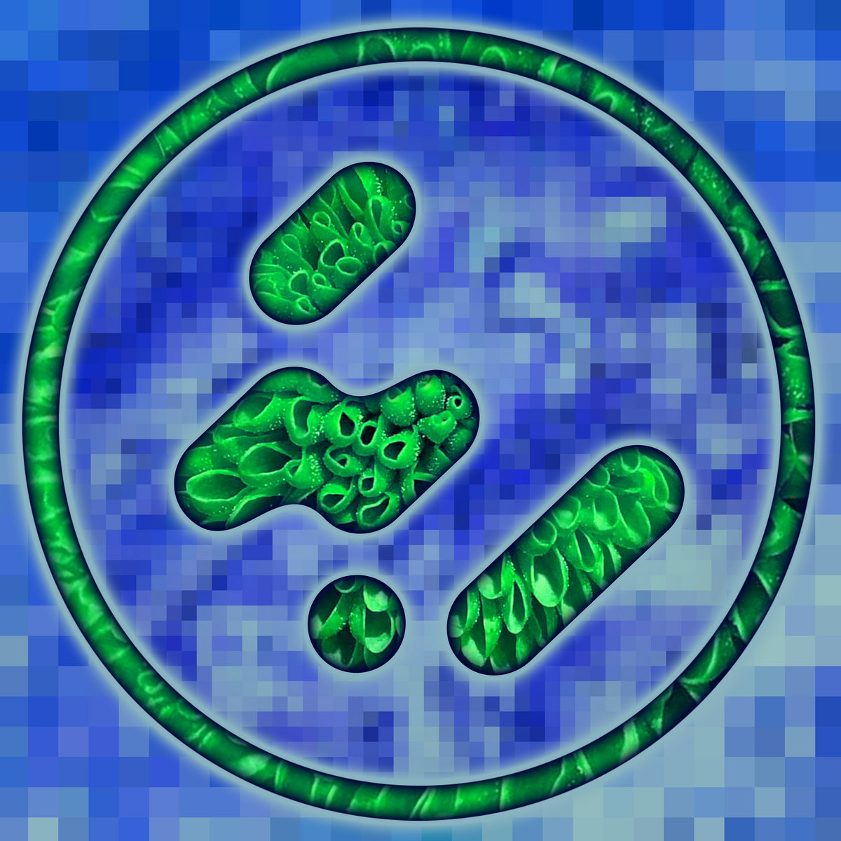 organic synthetic electronic cover