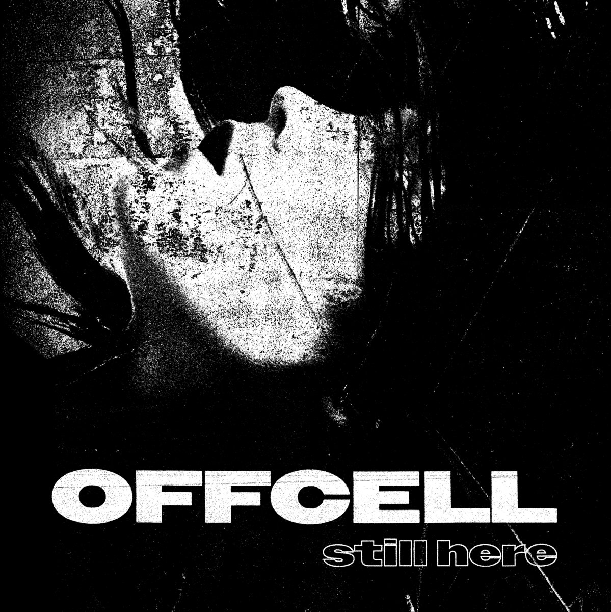still here | offcell
