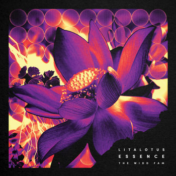 Cover art for Essence LP [WDDFM027]