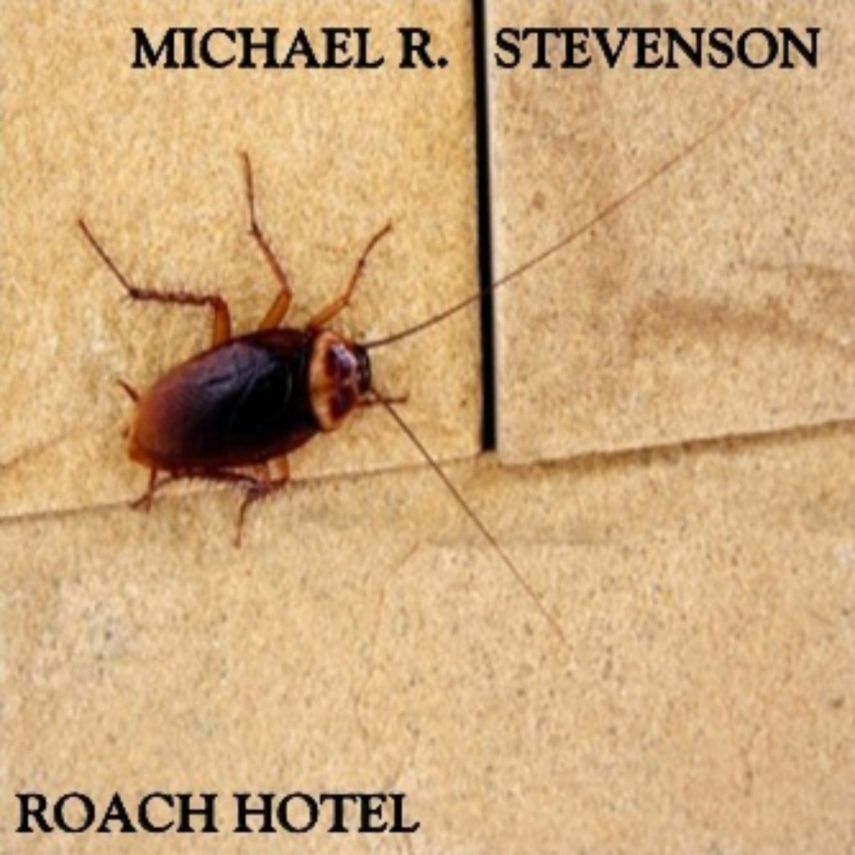 Roach Hotel | Michael R. Stevenson