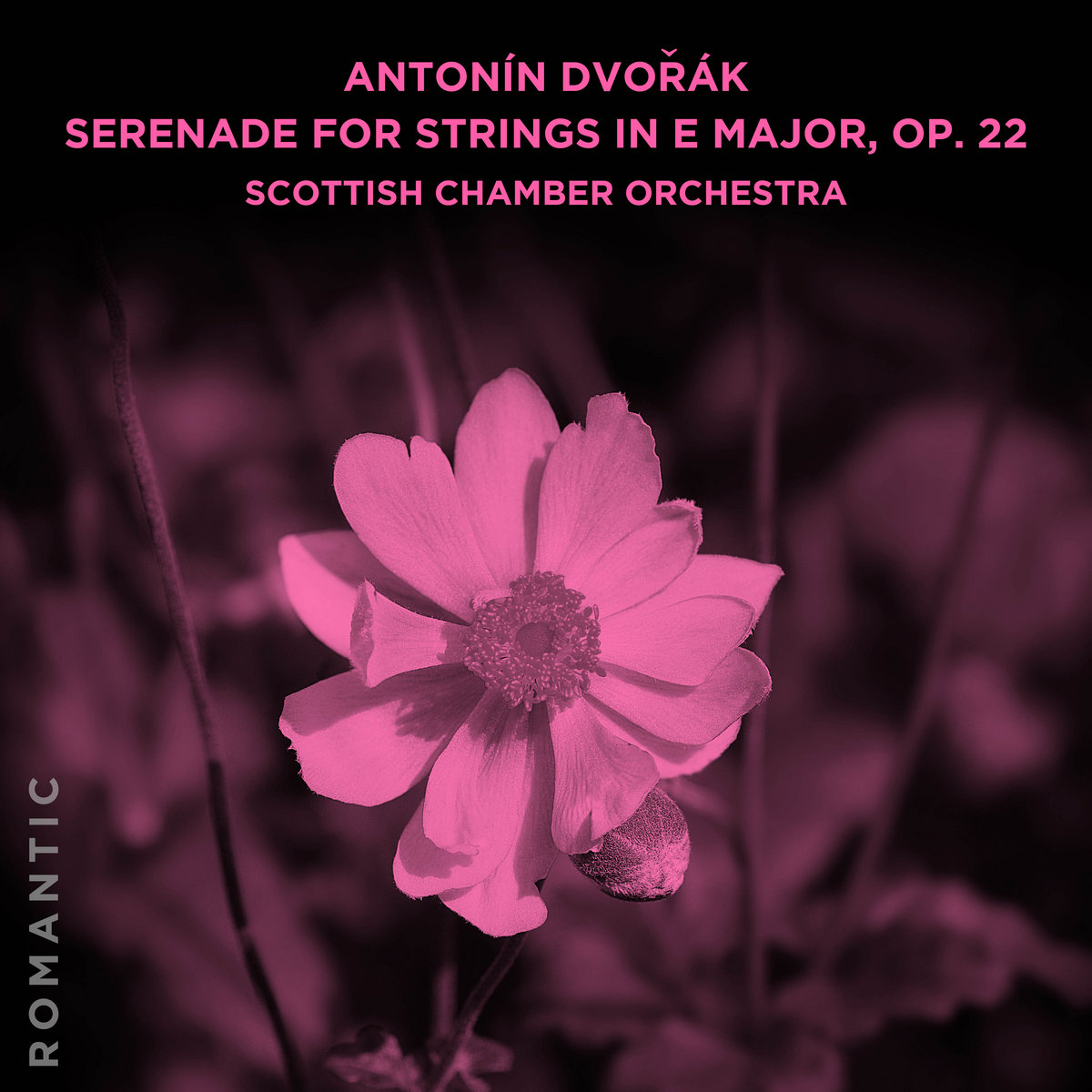 Antonín Dvořák: Serenade for Strings in E Major, Op. 22 | Scottish