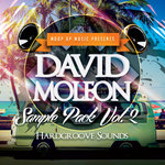 David Moleon Sample Pack Vol.2 - Hardgroove Sounds