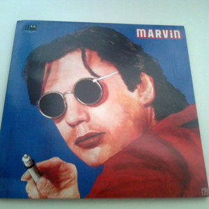 12 Salopards / Vol 2marvin - doppler (SK Records -2005) cover