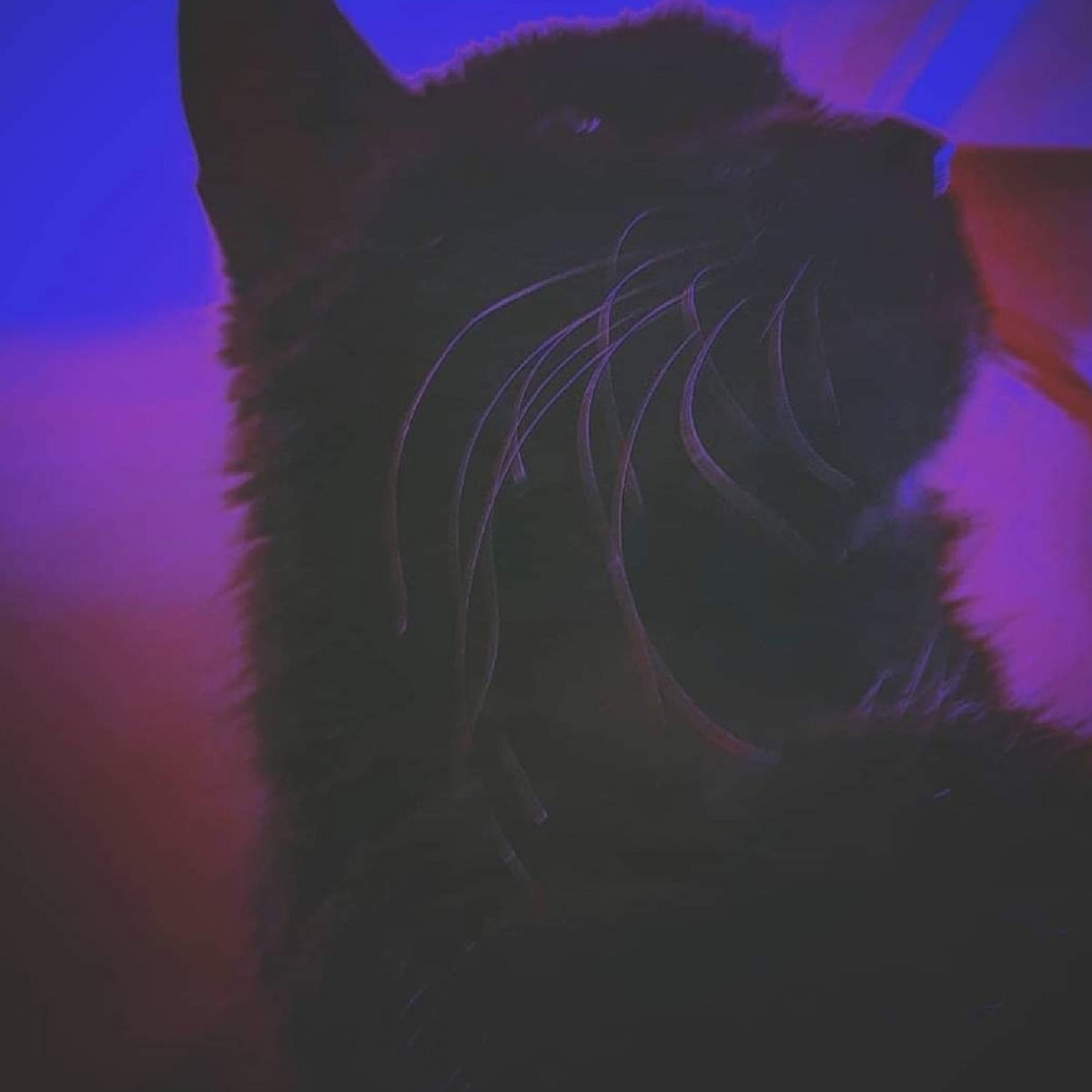 Synthetic Dream cover