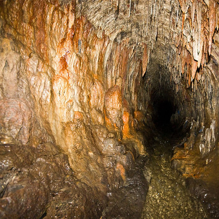 Death Tunnel DJ Flexible