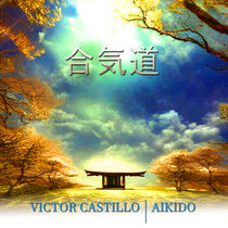 Aikido cover art