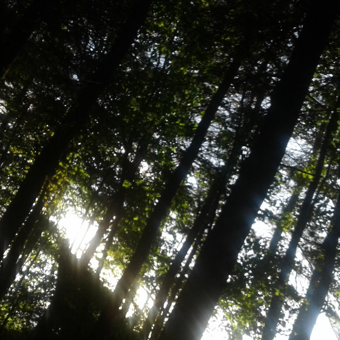 One Face yogurt weavers