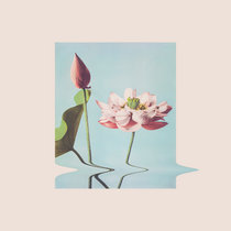 For Flowers cover art