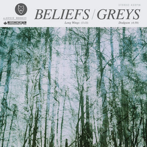 Beliefs/Greys Split cover