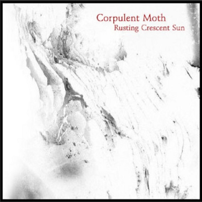 Rusting Crescent Sun | Corpulent Moth