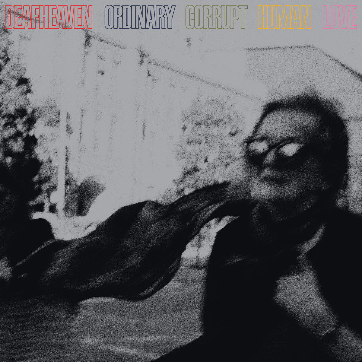 Image result for deafheaven ordinary corrupt human love cover art