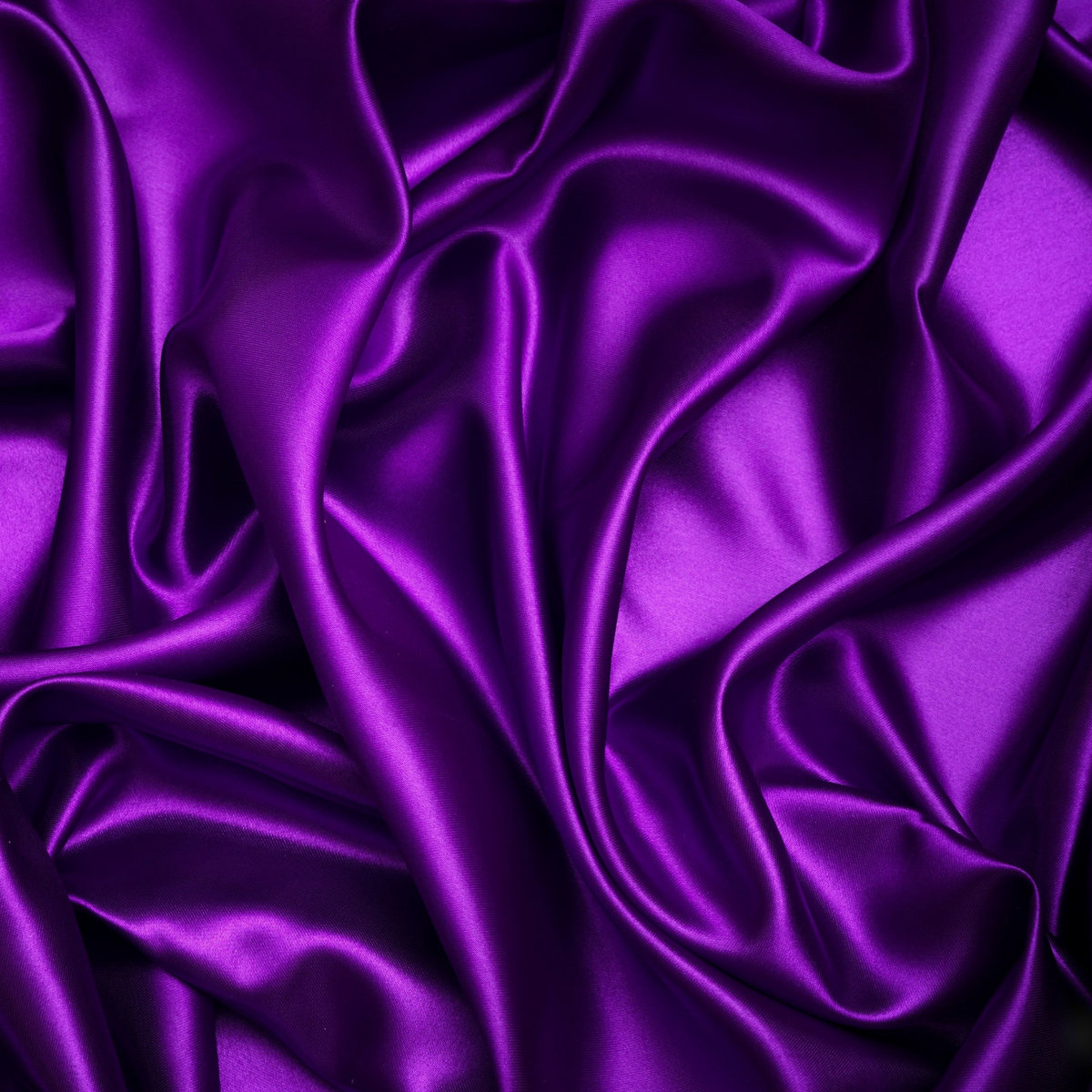 The Color Violet (Gregory BR Edit) | Gregory (BR)