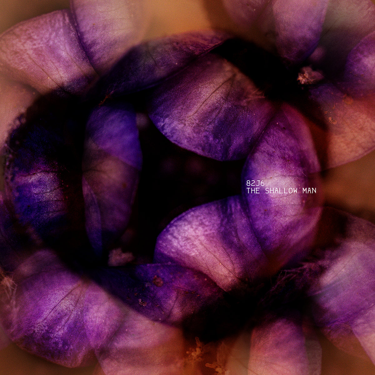 【nabe190様用】INFERNAL TENEBRA／New Formed Infernal Tenebra | ReverbNation