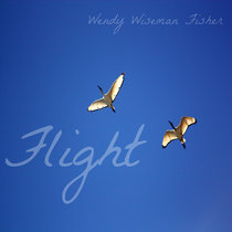 Flight cover art