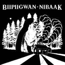Nibaak cover art
