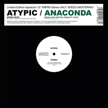 V.A. - Princess P / Infinite Sonore（3LP） Princess P / Infinite Sonore | Various Artists | Mental