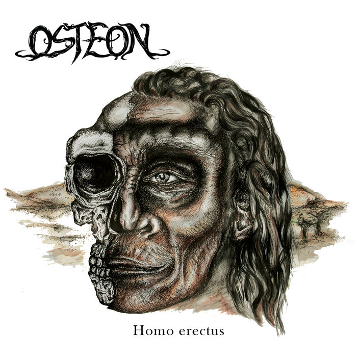 Homo erectus | Osteon