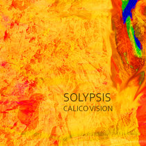 Calico Vision cover art