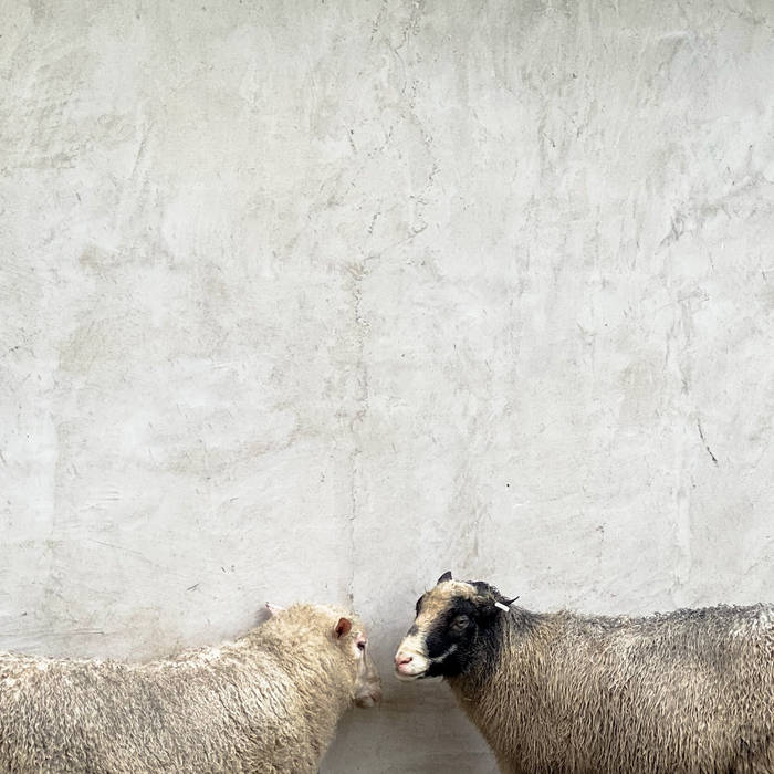 messier - Off Malaise EP