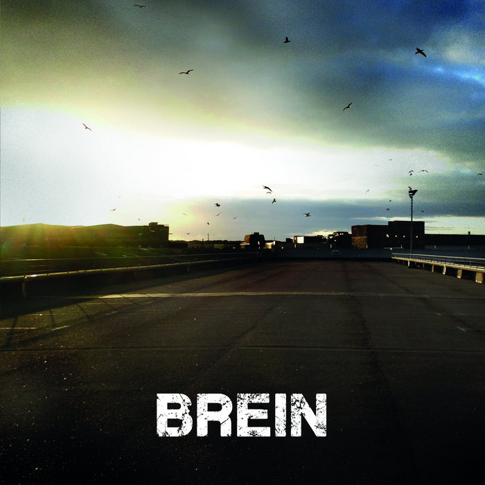 BREIN | Brein