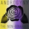 Androgyny Cover Art