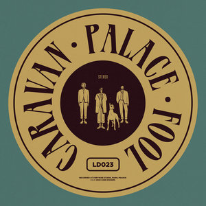 Fool cover