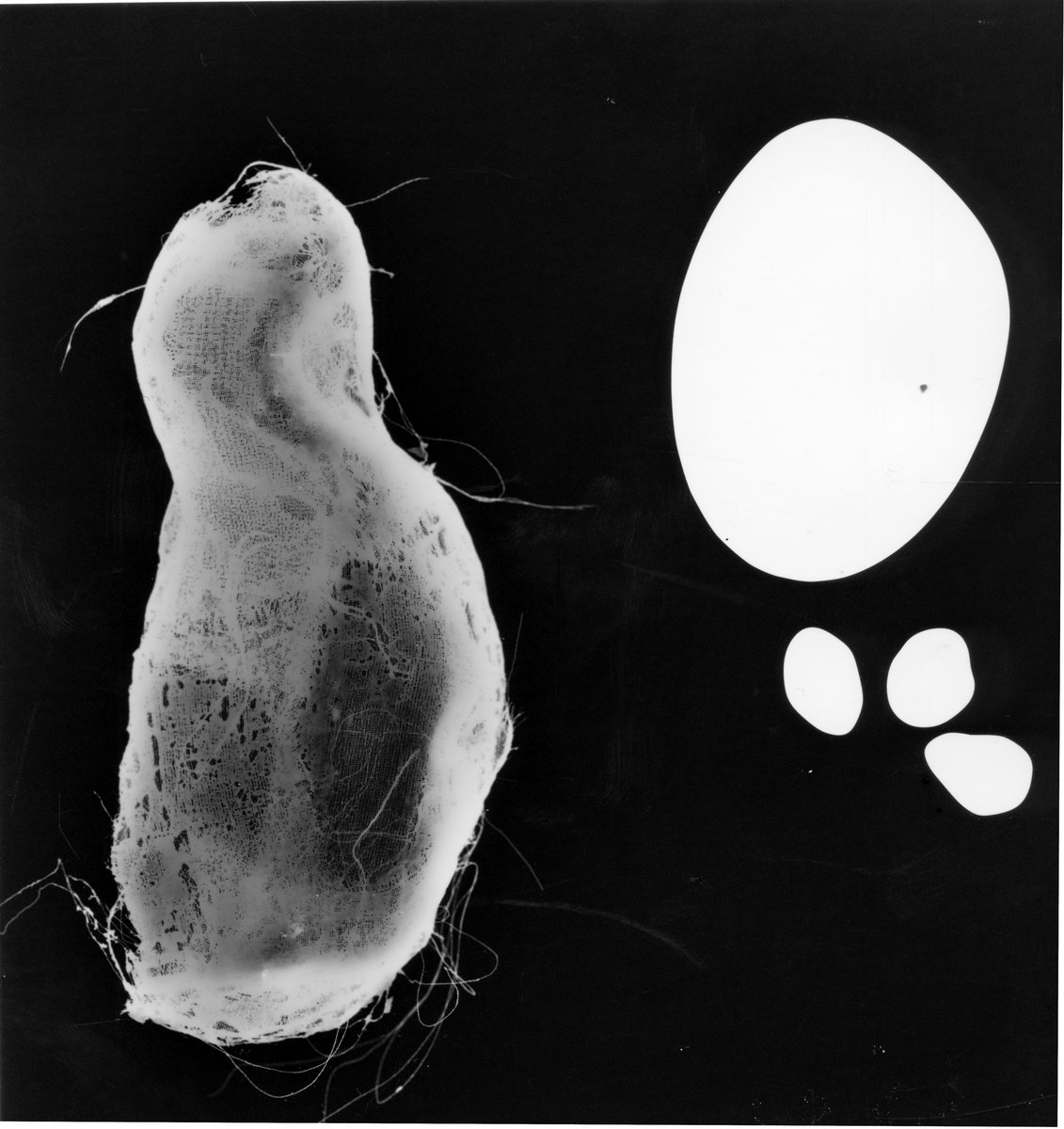 Le Bloom (@Blooming_Boy_) / Posts / X, image size:1131x1200