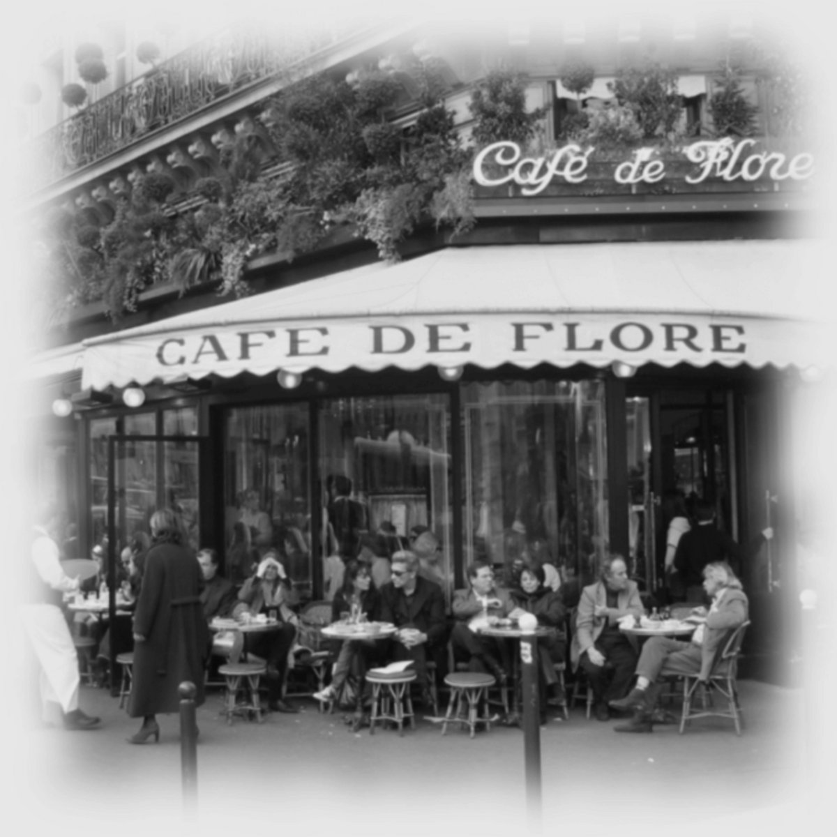 Cafe De Flore Pedro Costa