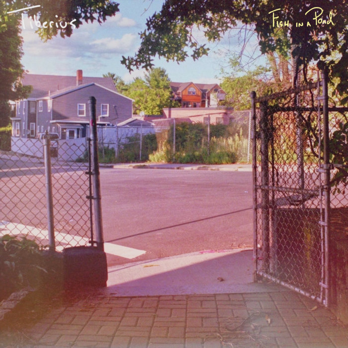 Fish in a Pond Tiberius Wright