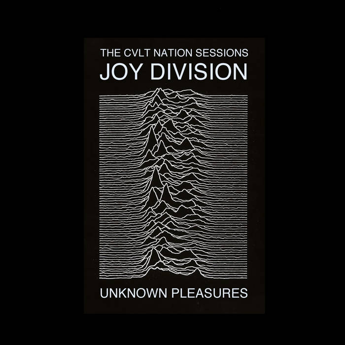 INSIGHT - Joy Division cover for CVLT NATION | Old Witch