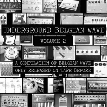 Underground Waves Vol. 2 | Various Artists | Walhalla Records