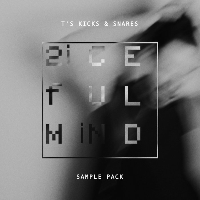 T'S Kicks & Snares SAMPLE PACK Twiceful Mind
