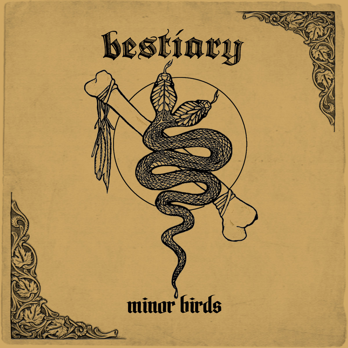 bestiary minor birds