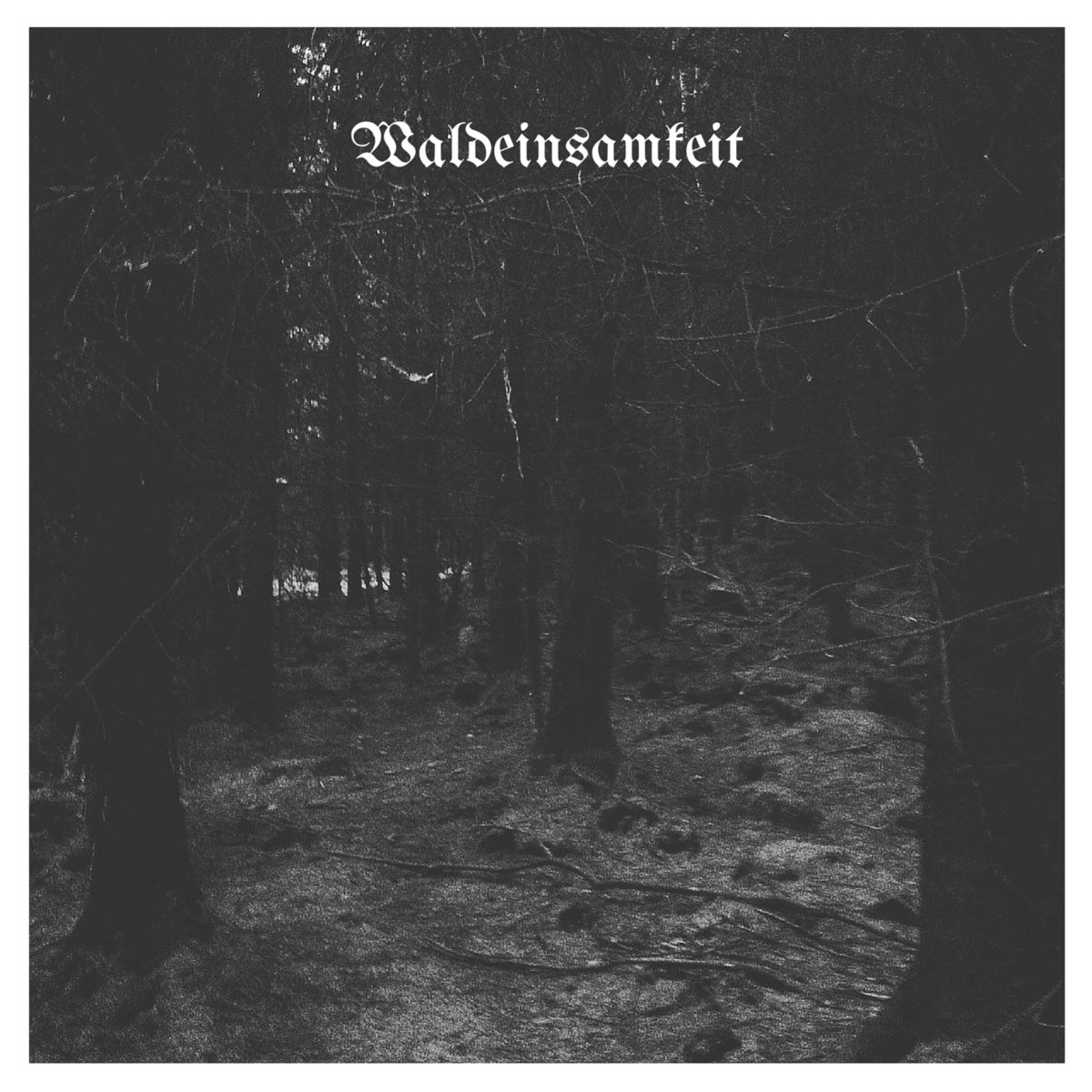 Waldensamkeit cover