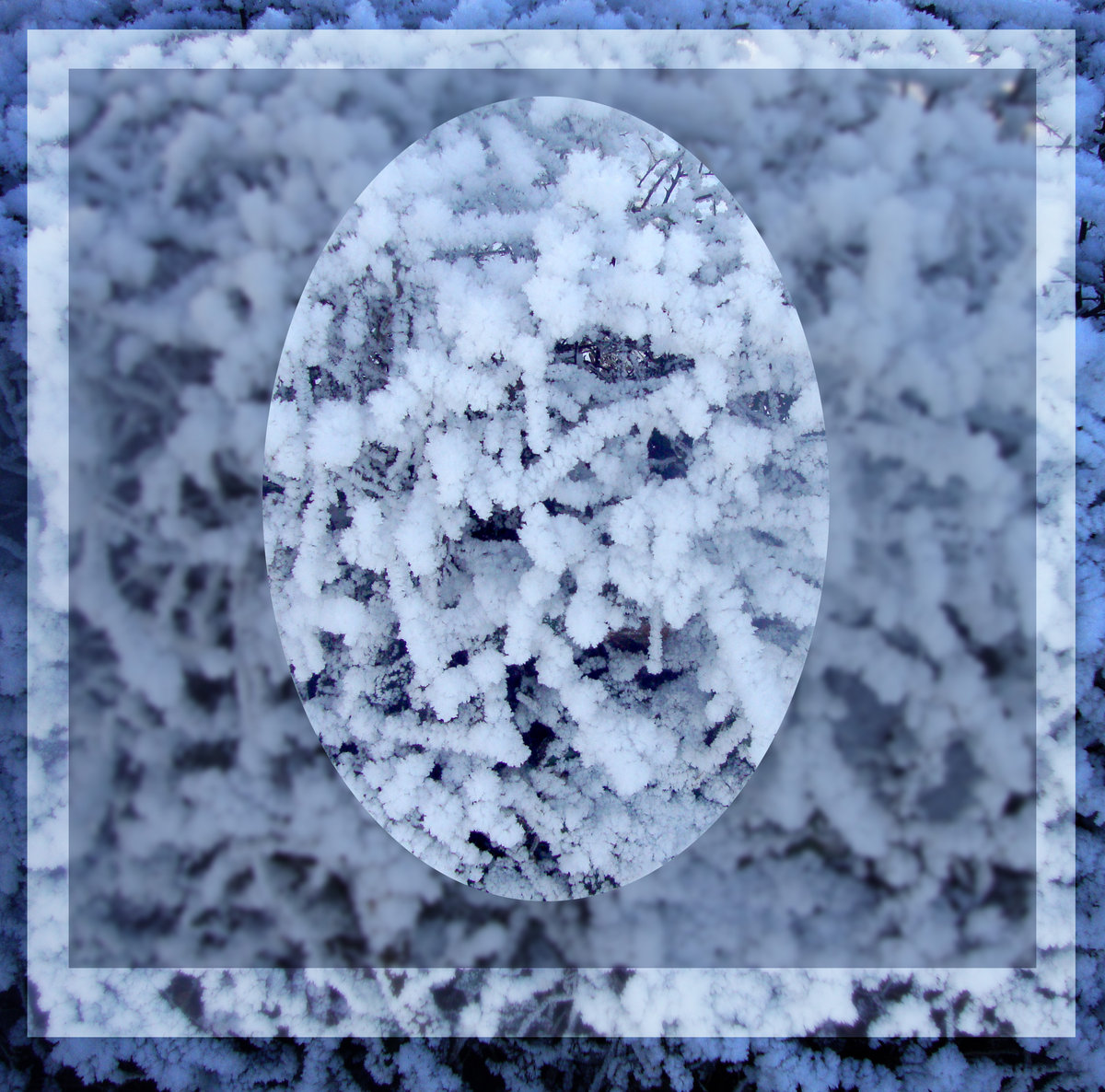 The Book of Frigid Air cover