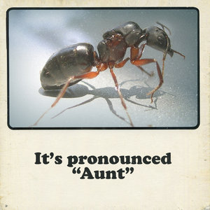 It's Pronounced "Aunt" cover